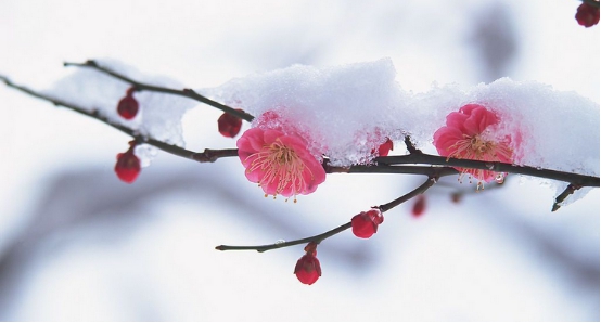 起重機(jī)配件雪景